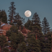 7th Place – Lena Merkulovich – “Moonrise” - www.facebook.com/LenaMerkuPhotos/