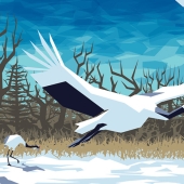 Hon. Mention - Diane Ramic - "Red Crowned Cranes” – https://dramic.wixsite.com/home