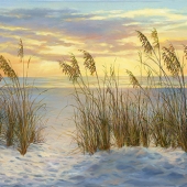 Laurie Snow Hein - “Seaoat Sunrise” – https://www.laurieheinartist.com/