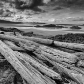 Robert Nowak - "Driftwood on Combers Beach” – http://www.robertnowakphotography.com/