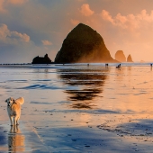 Marlin Greene - "Let's Play Ball” – http://www.oneearthimages.com/