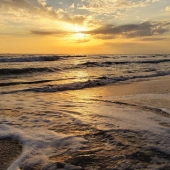 Nasrah Nefer - GIGI ART - "Beautifull Patara” – http://www.gigi-art.gallery/