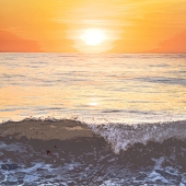 Yueying Wang - "Orange” – https://portfolioerin.cargo.site/