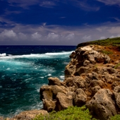 Todd Dieringer - "Symmetry in Nature” – www.NicolasTodDesignsCom