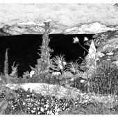 Arati Reddy-Devlin - "Luka” – http://www.arati.art/