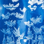 Li XiaoNan - "Sparrow of Sea” – 252786105@qq.com