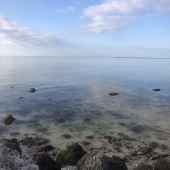 Erika Heffernan - "Quarantine Day 315” – http://www.erikaheffernan.com/