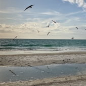 Melissa Fox - "Time to Fly” – melissafx10@gmail.com