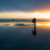 2nd Place – Overall - Marlin Greene - "Shoreline Birder” – www.oneeaerthimages.com