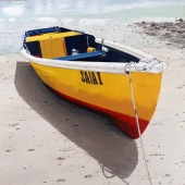 5th Place – Overall - Helena Maria Espinola Cocentino - "SAIA I” – helenacocentino.art@yahoo.com