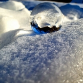 Linda Greenwood - "Snow Ball” – linda@greenwoodbiz.com