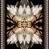 Dick and Rosanne - "Queen of the Night Embelishment” – http://dickandrosanne.com/