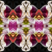 Dick and Rosanne - "Epiphany” – http://dickandrosanne.com/