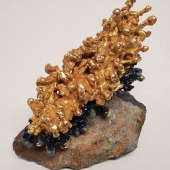 Tom Krempa - "Royal Crowned Sea Coral” – http://www.tomkrempa.com/