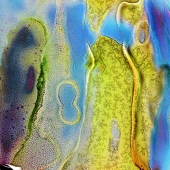 Ashley Bravick - "Evermore” – http://www.ashleybravickphotography.com/