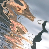 Ellen Rubinstein - "Aquatic Sketch” – https://www.facebook.com/EllenRubinsteinNaturePhotography