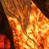 Lazar Sorin Niculae - "Forgotten Organ” – https://www.artmajeur.com/en/lazar-ecofor/presentation