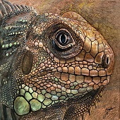 Linda Steele - "Lizard” – steeleoriginals@comcast.net