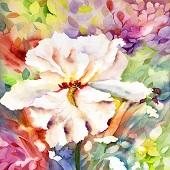 Neela Pushparaj – “White Iris” – http://www.watercolorsbyneela.com/