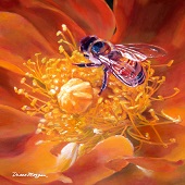 Diane Morgan - "Jumble Bee” – http://www.dianemorganpaints.com/mble-Bee-c