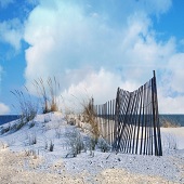 Leo Tujak - "Beach Dune Clouds” – https://leotujak.viewbug.com/