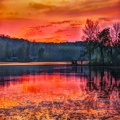 Holly Robbins - "Green Yellow Orange Purple Pink Blue” – https://ufoundholly.wixsite.com/holly-robbins-images