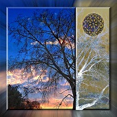 Joyce Wycoff – “Today and Tomorrow” – http://www.joycewycoff.com/