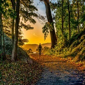 Jeffrey Friedkin – “Follow the Sun” – http://www.jeffreyfriedkin.com/