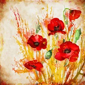 Barbara Mierau-Klein – “Poppy Bunch” – http://www.barbaramierauklein.com/