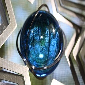 Ellen Rubinstein – “World in an Orb” – https://www.facebook.com/EllenRubinsteinNaturePhotography