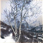 Chacha - "Vail winter Walk” – chachamakesart@yahoo.com