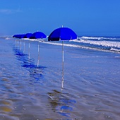 Connie Rogers - "Mirage of Umbrellas” – http://www.memoryhealers.net/