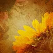 Joyce Simpson - "Sunflower” – https://joycesimpson.myportfolio.com/