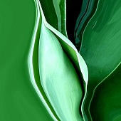 Garret Demarest - "Lion's Tail Agave” – http://www.innervigorations.com/ions-Tail-Agave-b