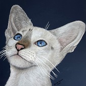 Krista Oremus - "Stella” – https://kristaoremus.com/