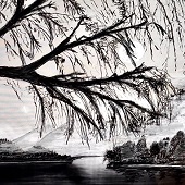 Jerri L Burrell - "Hidden Cove” – jerriemt@gmail.com