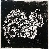 Tanushree Vachharajani – “Maya” – tanushree.v@protonmail.com