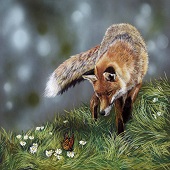 Lynette Orzlowski – “Follow the Monarch” – http://www.orzlowski.com/ski-–-Follow-the-Monarch-v