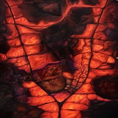 Ayla Perkins - "Scorched” – http://aylaperkins.com/