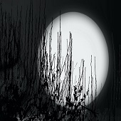 Lillianne Daigle – “High Moon” – elleday@bell.net