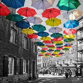 Eric Renard – “Alone in the Silk Exchange” – https://ericrenardphotography.com/