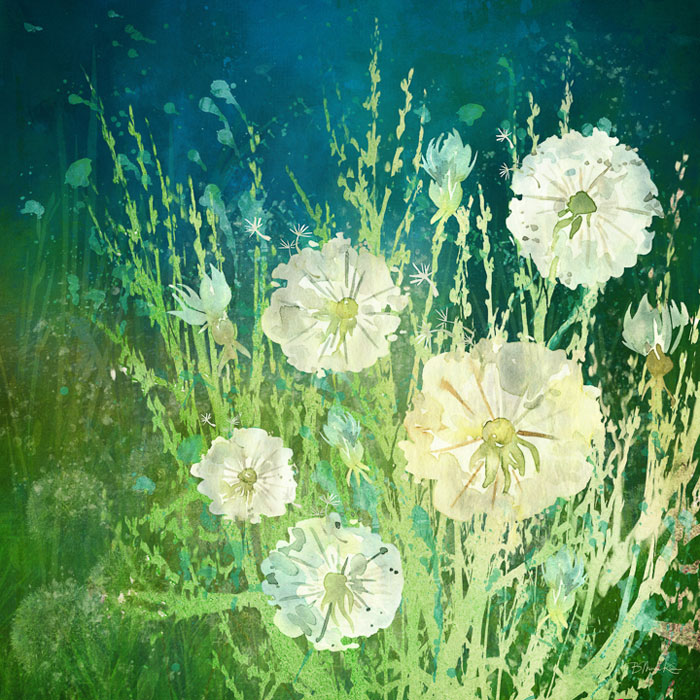 Barbara Mierau-Klein – “Wild Dandelions” – http://www.barbaramierauklein.com/
