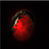 Sue Smith - "Bloodmoon” – https://assp.suesmithphotography.com.au/index.php/meet-sue-the-artist/