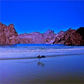 Connie Rogers - "Majestic” – http://www.memoryhealers.net/