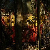 Jojin Van Winkle - "Late Afternoon in Car Graveyard” – http://www.jojinprojects.com/