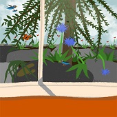 Jane Goodwin - "The World from My Window” – https://bluethumb.com.au/jane-goodwin