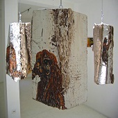 Hon. Mention – Alan Tarbell – “Regresa al Bosque” - www.alantarbell.com