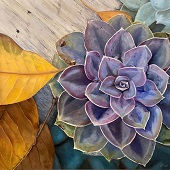 4th Place – Lynda Sauls – “Tenacious Living” – www.lyndasaulsartist.com