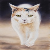 Hon. Mention - Helen Coulter - "The Cat Walk” – https://helencoulter.com.au