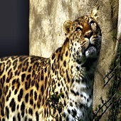 Hon. Mention - Holly Robbins - "That's the Spot” – https://ufoundholly.wixsite.com/holly-robbins-images